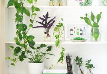 Woningtrends 2019 woningtrends 2019