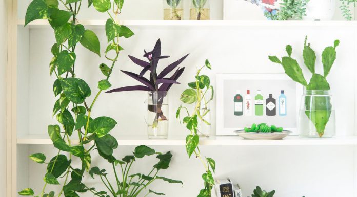 Woningtrends 2019 woningtrends 2019