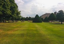 Bruin gras in de tuin herstellen Gele plekken in het gazon door droogte