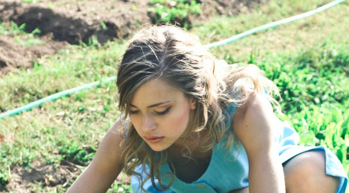 Deze vijf feiten wist jij nog niet over kamerplanten planten verzorgen