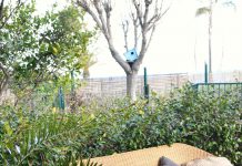 Waar moet je opletten als je een loungeset koopt? loungeset