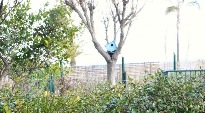 Waar moet je opletten als je een loungeset koopt? loungeset